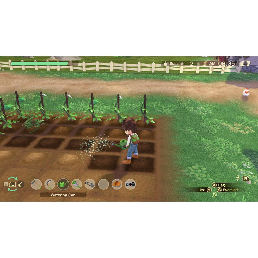 STORY OF SEASONS: A Wonderful Life