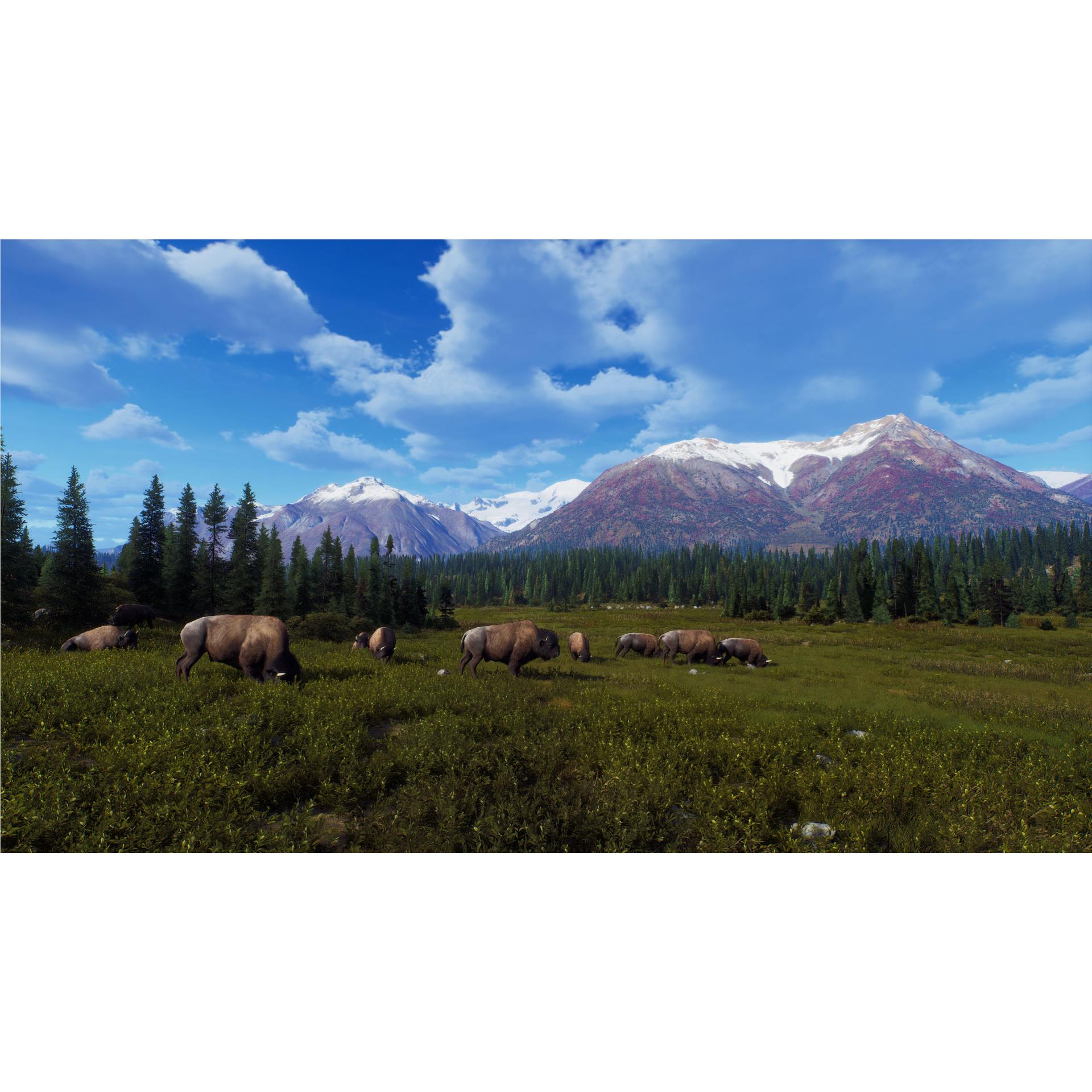 Way of the Hunter: Wild Expeditions