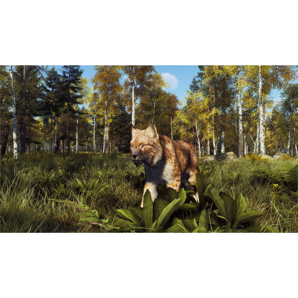 Way of the Hunter: Wild Expeditions